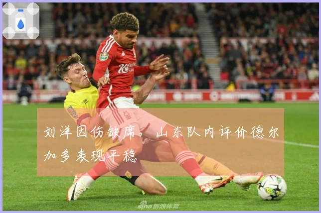 刘洋因伤缺席，山东队内评价德尔加多表现平稳