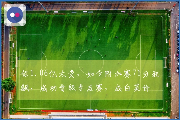你1.06亿太贵，如今附加赛71分狂飙，成功晋级季后赛，成白菜价