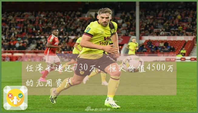 任泽平退还730万：恒大价值4500万的无用资产